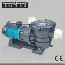 Wholesale Swimming Pool Circulation Water Pumps